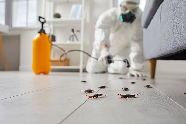 Commercial Kitchen Cockroach Control in Hazardville